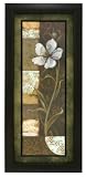Degray Floral Memories II 21-Inch-by-45-Inch Framed Print