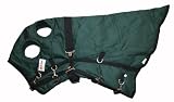 Winter Horse Blanket Hood 1200D Green