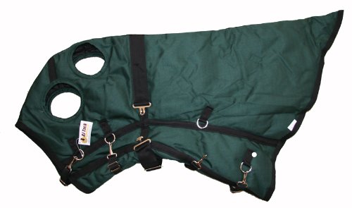 Winter Horse Blanket Hood 1200D Green