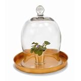 Achla Designs VBJ-01 Small Bell Jar