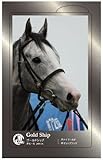 勝馬ステッカー　ゴールドシップ