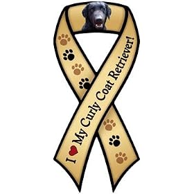 �yAnimalsINK.com�z���{���^�}�O�l�b�g�w�J�[���[�R�[�e�b�h�E���g���[�o�[��D���xCurly Coat Retriever
