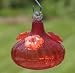 Bright Red Glass Swirl Hummingbird Feeder with How To Attract Hummingbirds Booklet