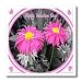 Pink Valentine - 8x8 Iron On Heat Transfer For White Material