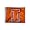 Illinois Fighting Illini