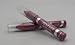 L'Oreal Colour Juice Gloss Stick Sheer Gloss Pencil, #625 Shimmy Pop.