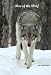 Rise of the Wolf (Wolf Series)