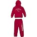 Reebok Arizona Cardinals Infant 2 Pc Hooded Sweatshirt & Sweatpant Set Size: Infant 12 Months