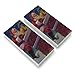 Christmas Holiday Santa Going Down The Chimney Eraser Set of 2