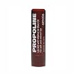 Apivita Propoline Tinted Lip-Aid - Walnut