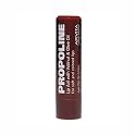 Apivita Propoline Tinted Lip-Aid - Walnut