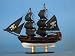 Caribbean Pirate 7