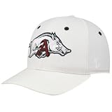 Zephyr Arkansas Razorbacks White Flurry Fitted Hat