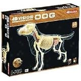 Tedco 4D Vision Dog Anatomy Model
