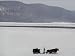 A Farmer Drives His Team of Horses Across the Cold and Barren Landscape Associated Press Collection Photographic Poster Print, 24x18