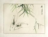 Chinese Sumi-e Brush Painting Art, Watercolor on Paper - Shrimp