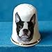 En porcelaine anglaise de collection avec dÃ© Boston Terrier