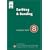 Guidance Note: No. 8: Earthing and Bonding (Standards and Compliance)