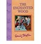 The Enchanted Wood