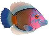 Swim Ways Rainbow Reef Swimming Fish Pool Toy Blue & Pink