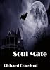 Soul Mate