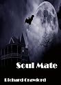 Soul Mate