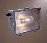 Metal Halide Sodium Area Security Light
