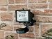 Outdoor Living : Micromark Mm7557 Mini Pir Floodlight 150W Black