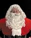 Special Santa Wig and Beard Set