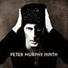 Image of album by Peter Murphy