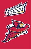 Iowa State Cyclones Applique Embroidered Banner Flag 44x28 NCAA College Athletics Fan Shop Sports Team Merchandise