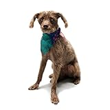 Kess InHouse Caleb Troy "Painted Clouds Double" Pet Bandana and Scarf, 28 by 20 by 20-Inch