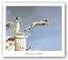 Gargoyles by Michael Parkes 18"x13" Art Print Poster