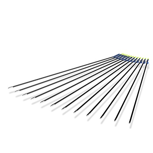 Posch Archery Beginner's First 30'' Fiberglass Target Archery Arrows - 12 Pack (Black/Pink)