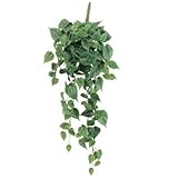 asca 造花 フィロブッシュ グリーン 全長60cm A-41444-051A