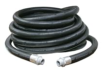 Reelcraft 600160-1 3/4 x 25 ft Replacement Hose Assembly for Fuel
