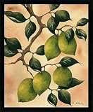 Bild mit Rahmen: Doris Allison, Italian Harvest - Limes, 30 x 40 - Aluminium Basic M: Schwarz matt