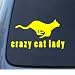 CRAZY CAT LADY - Kitty - Car, Truck, Notebook, Vinyl Decal Sticker #1095 | Vinyl Colo...