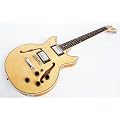 Jazz & Blues E-Gitarre, Semi Acoustic - N