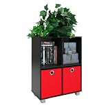 Furinno Multipurpose Storage Cabinet with 2 Bin-Type Drawers - Black Finish, 99102