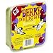 C&S Berry Delight No-Melt Suet Dough