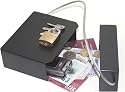 Personal Travel Safe