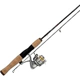 Quantum Q-Micro Series Ultra Light Freshwater Spinning Fishing Combo