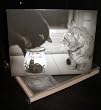 Talk to the Paw! Greeting Cards - Just wondering