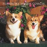 Pembroke Welsh Corgis 2008 Wall Calendar