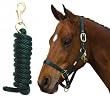 ROMA Continental Nylon Halter with Lead
