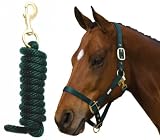 ROMA Continental Nylon Halter with Lead