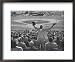Enthusiastic Fan Cheering in Stands During Cuban Baseball Game Framed Art Poster Print by Mark Kauffman, 22x18