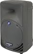 Mackie C200 10-inch 2-Way Compact SR Monitor