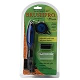 Frogger BrushPro